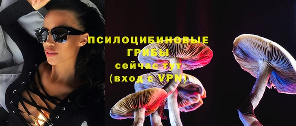 гидра Гусь-Хрустальный