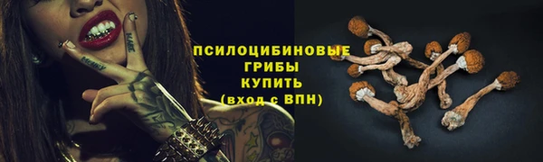 мдма Гусев