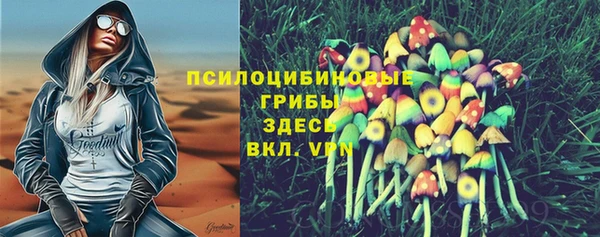 гидра Гусь-Хрустальный