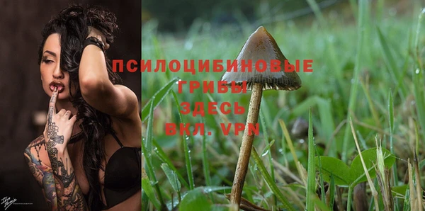МДПВ Гусиноозёрск