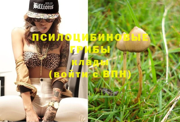 МДПВ Гусиноозёрск