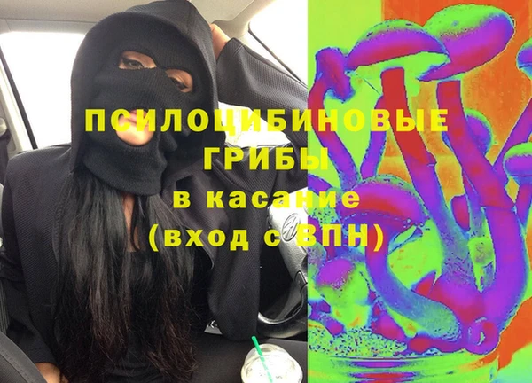 гидра Гусь-Хрустальный